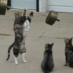 Illustration du profil de TysonLaMontagne